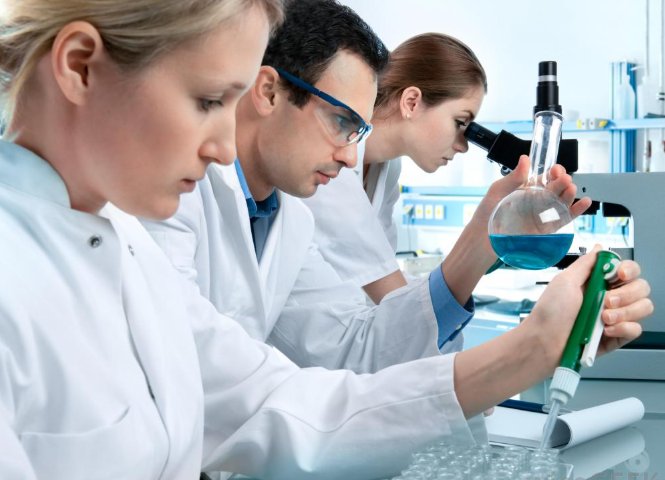 Studyhat: Menyongsong Masa Depan Pendidikan dan Penelitian Tingkat Lanjut